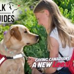 Melville Lions hosting Walk for Dog Guides on May 26