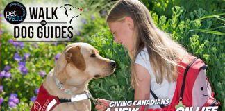Melville Lions hosting Walk for Dog Guides on May 26