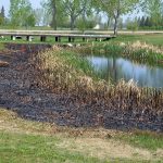 Grenfell fire chief discovers golf course fire