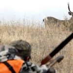 Court decision allows hunting without a licence