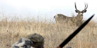 Court decision allows hunting without a licence