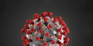 Bubble tightened as COVID cases increase