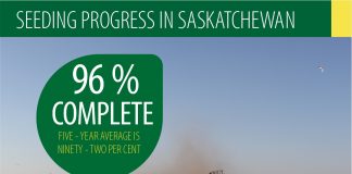 Seeding 96% complete in Saskatchewan