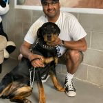 Stolen Broadview dog found in BC
