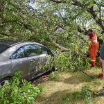 Wild weather wallops city
