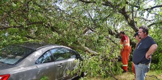 Wild weather wallops city
