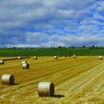 Melville is on short list for new industry
