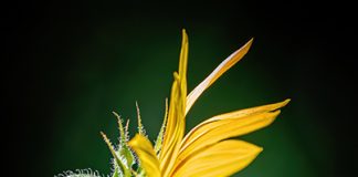 Melville photographer wins ExploreSask contest