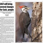Herald Sun – January 8, 2021