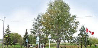 Broadview groups Bloom Together to form one