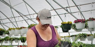 Greenhouse’s ready for spring planting season