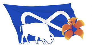 Métis voters select new provincial council