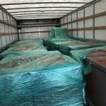 4,000 pounds of cannabis seized in traffic stop
