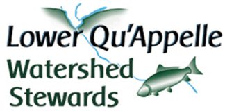 LQWS explains the cause of algae in our lakes