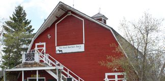 Diverse products, vendors at The Red Market Barn