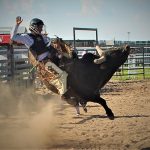 Bull riding and barrel racing events held