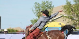 Reinventing Tradition… A New Way to Rodeo