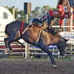 Whitewood becomes rodeo capital