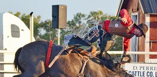 Whitewood becomes rodeo capital