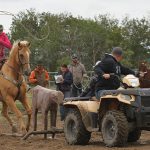 Everyone rides away a winner at mini-rodeo
