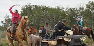 Everyone rides away a winner at mini-rodeo