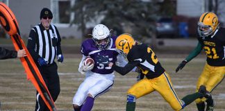 Cobras in semi-finals