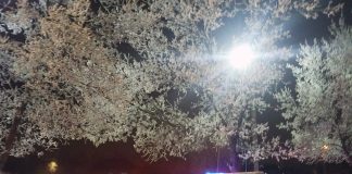 Melville-area missing kid located after collaborative search