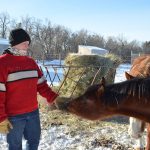 New Hope Ranch lets people learn all about horses