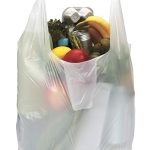 Who will follow Regina’s plastic ban bylaw?