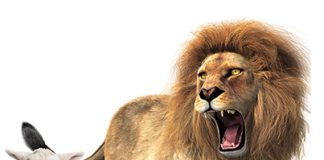 Predicting the lamb/lion weather for March