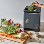 City ponders food waste pilot program