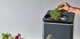 City ponders food waste pilot program