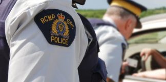 Male charged after assaulting officers after traffic stop