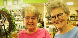 Mid Summer’s Art Festival plans a ‘Sunflower Summer’