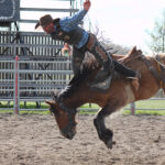 Bronc riders polish their rodeo skills