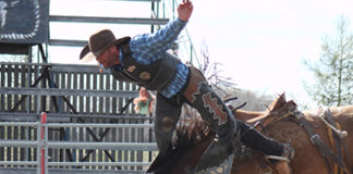 Bronc riders polish their rodeo skills