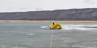 Wildlife rescue evolves into training / recovery