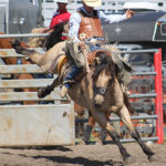 Rodeo school to take place this weekend