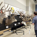 SWF Angling and Henry Kelsey Big Game Awards