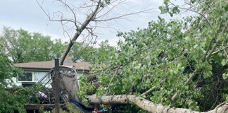 Clean-up underway after weekend storm