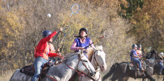 Polocrosse camp offers new fun for horse and rider in Kennedy