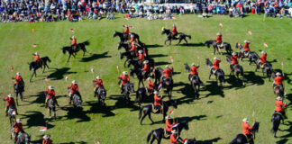 Weekend events has something for everyone to see, do