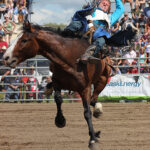 Moose Mountain Pro Rodeo looks to its 90th year