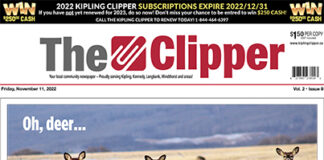 Kipling Clipper – November 11, 2022