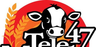 Tune-In and Ring Those Phones for TeleMiracle Week