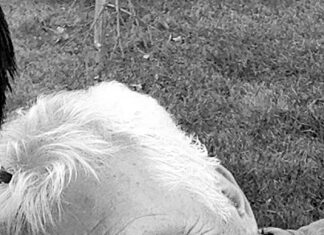 PARKER – Donald James