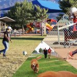 Survey distributed for new recreation park in Whitewood