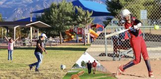 Survey distributed for new recreation park in Whitewood