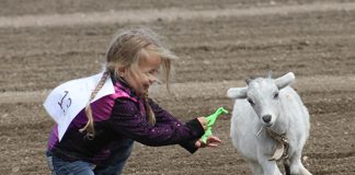Kids’ Summer Sizzler Rodeo a hit