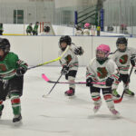 Hockey teams participate in Hockey Day in Sask.